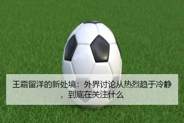 wang-shuang-liu-yang-de-xin-chu-jing-wai-jie-tao-lun-cong-re-lie-qu-yu-leng-jing-dao-di-zai-guan-zhu-shen-me-2-659.jpg